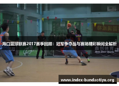 海口篮球联赛2017赛季回顾：冠军争夺战与赛场精彩瞬间全解析