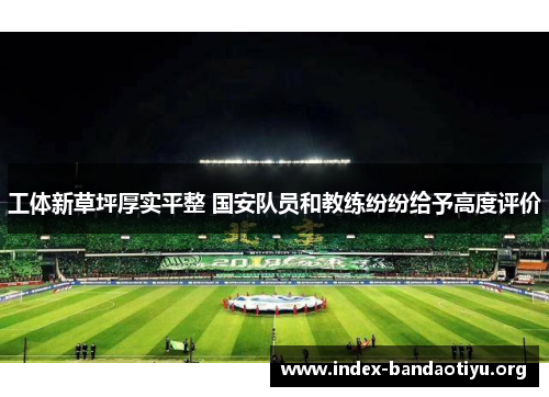 工体新草坪厚实平整 国安队员和教练纷纷给予高度评价